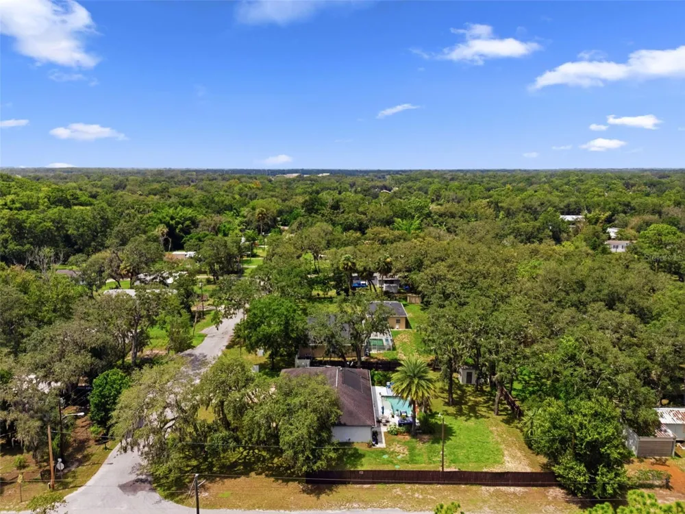 11240 MARQUERITE AVENUE New Port Richey, FL 34654