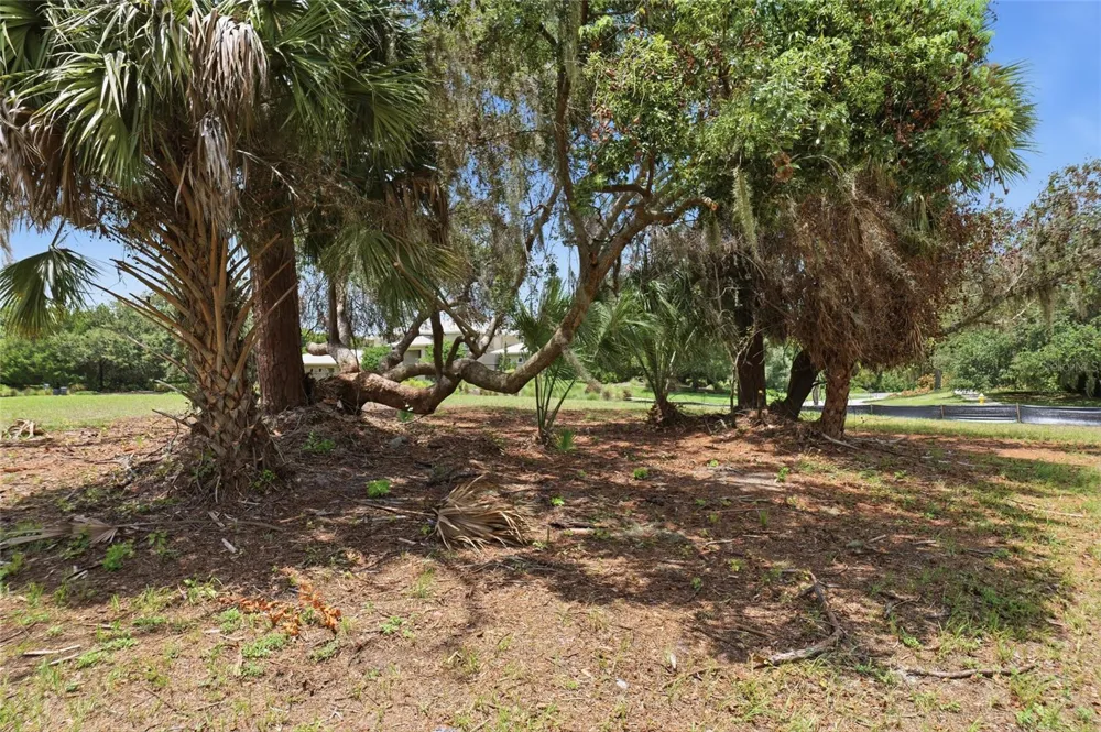 520 AUSTIN DRIVE Tarpon Springs, FL 34688