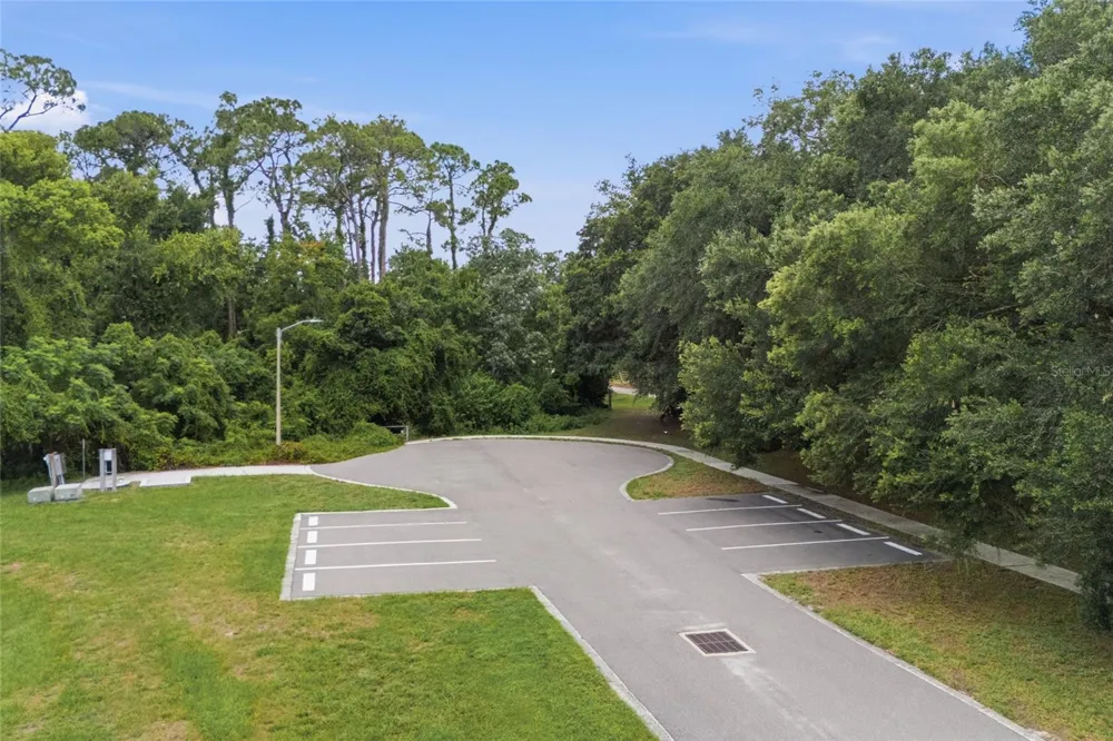 520 AUSTIN DRIVE Tarpon Springs, FL 34688