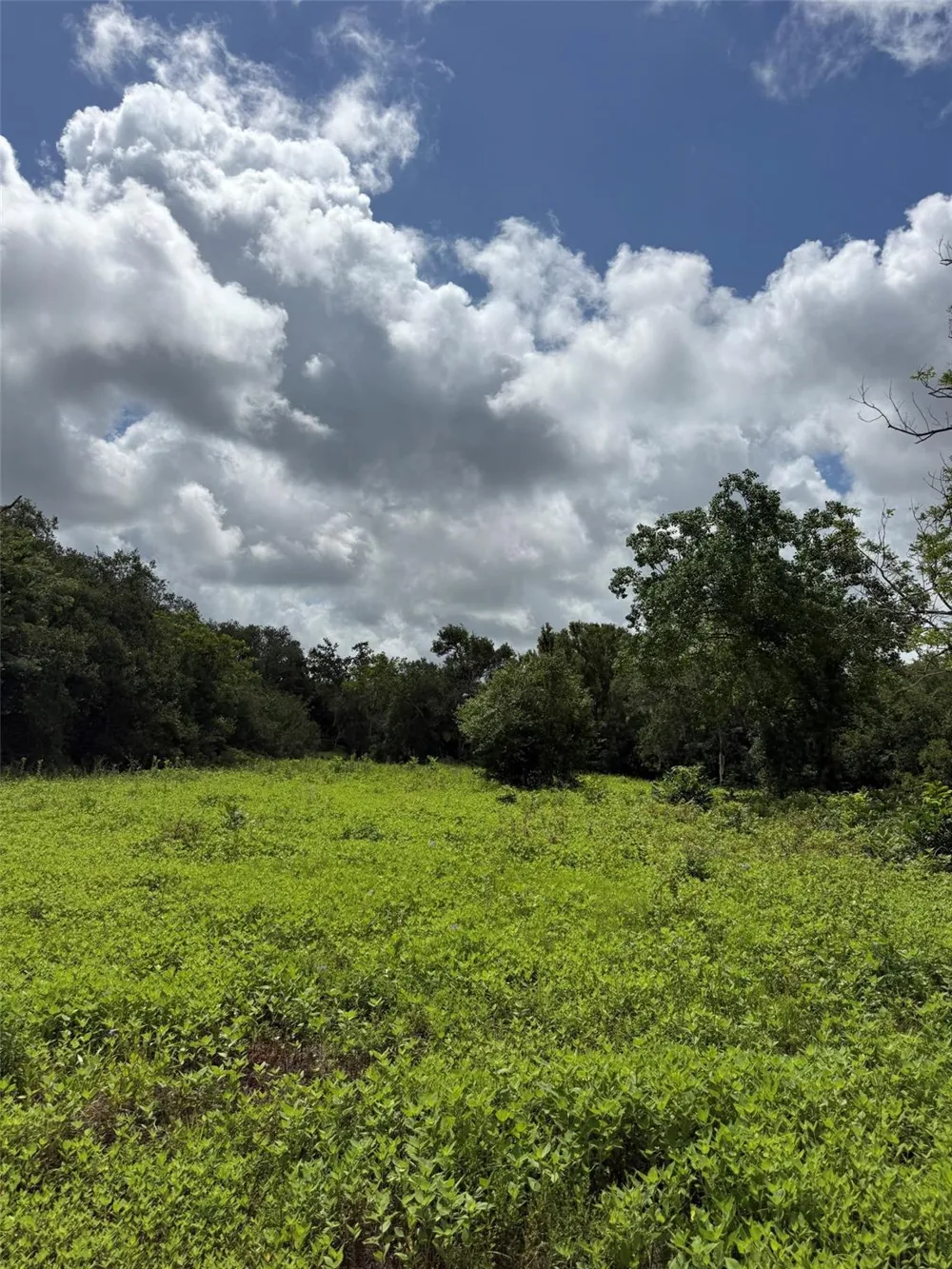 County Road 496 Brazoria, TX 77422