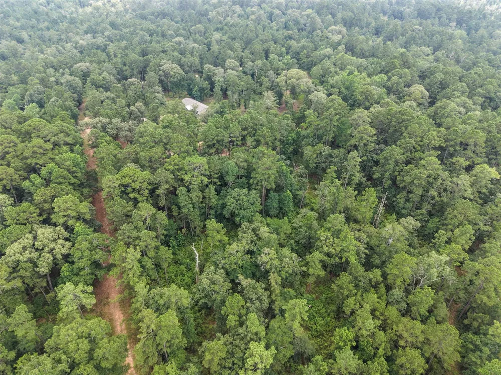 577 Winding River Rd-1 Oakhurst, TX 77364