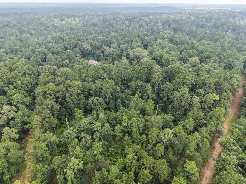 577 Winding River Rd-1 Oakhurst, TX 77364