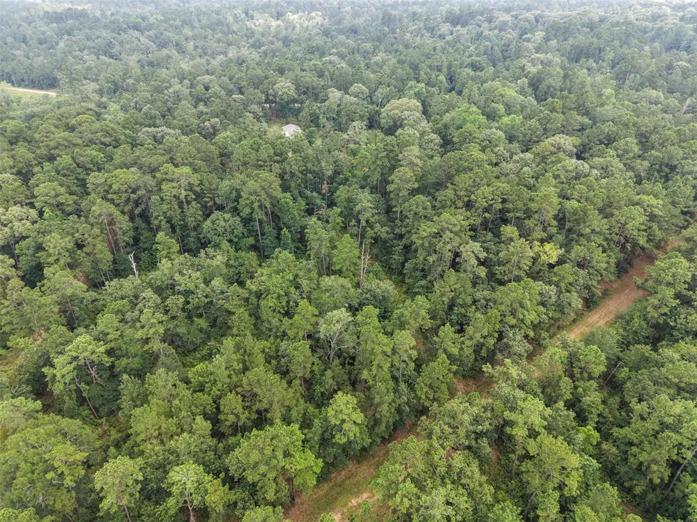 577 Winding River Rd-1 Oakhurst, TX 77364