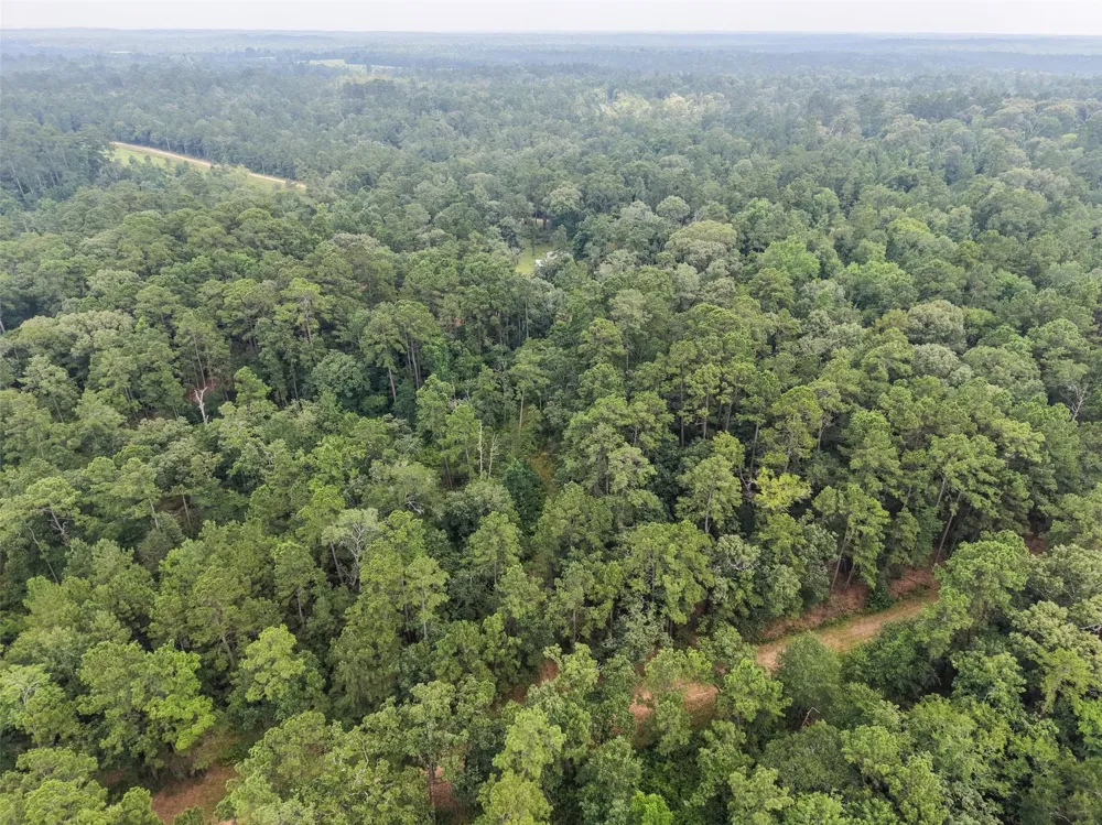 577 Winding River Rd-1 Oakhurst, TX 77364