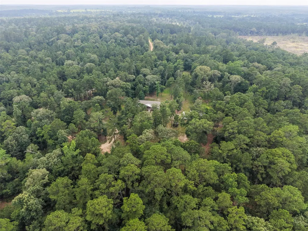 577 Winding River Rd-1 Oakhurst, TX 77364