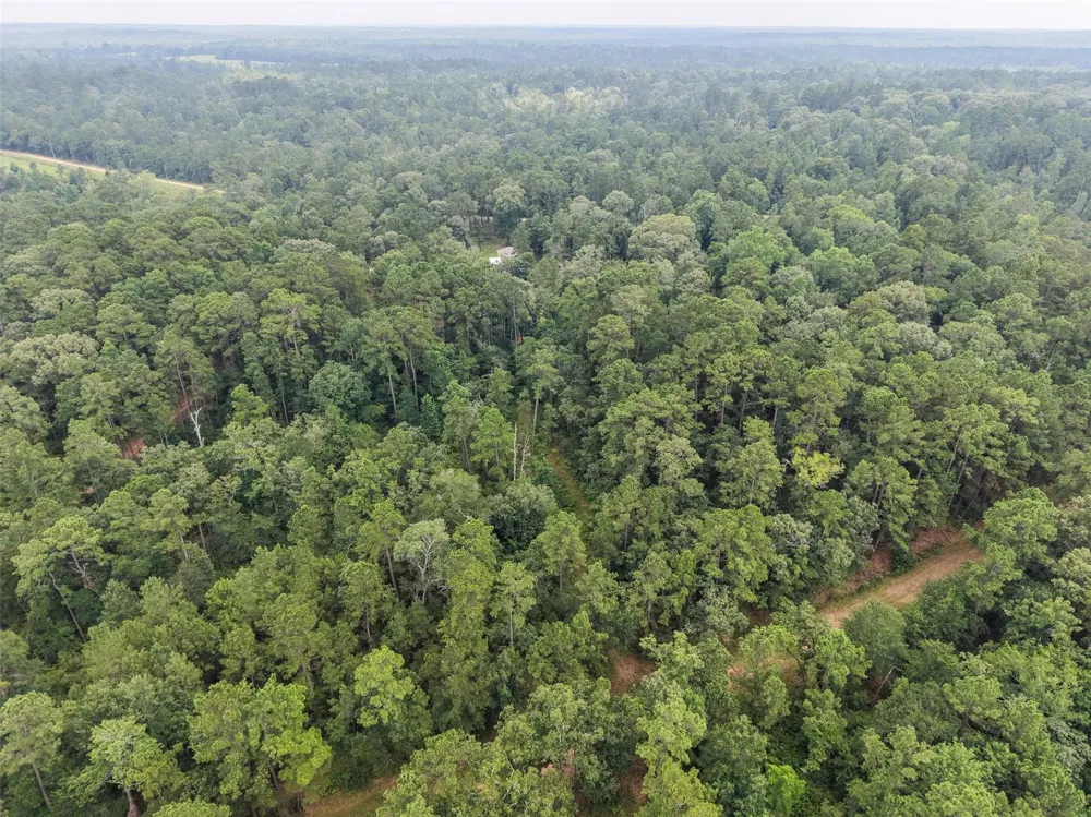 577 Winding River Rd-1 Oakhurst, TX 77364