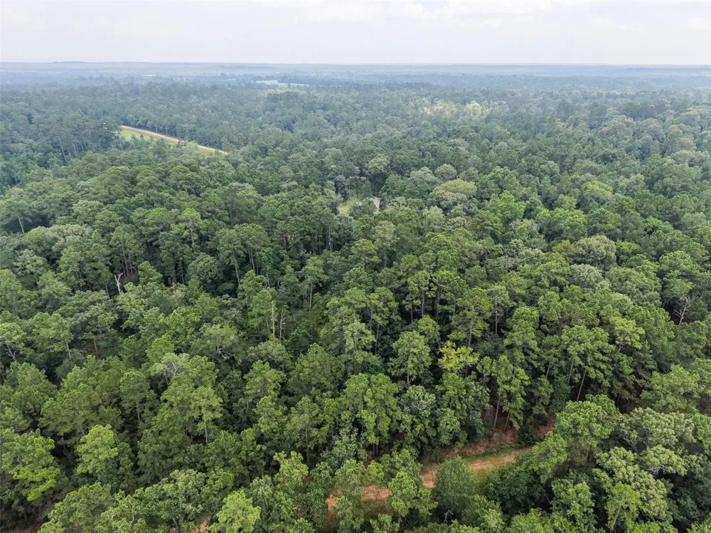 577 Winding River Rd-1 Oakhurst, TX 77364