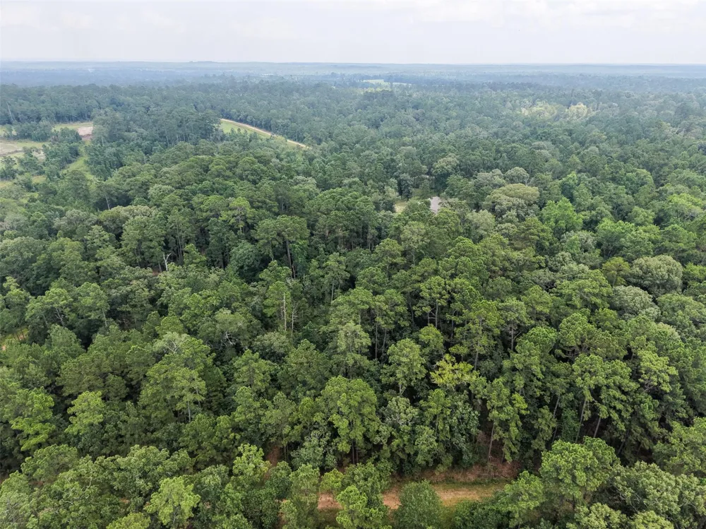 577 Winding River Rd-1 Oakhurst, TX 77364