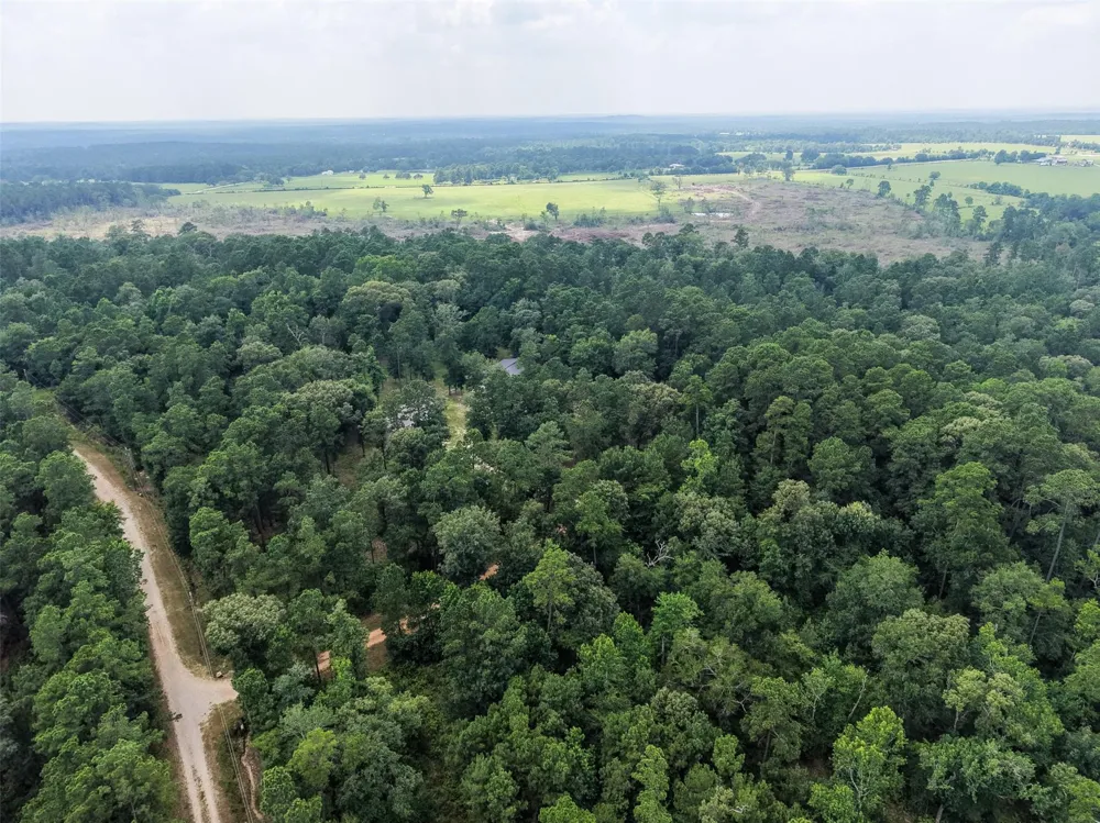 577 Winding River Rd-1 Oakhurst, TX 77364