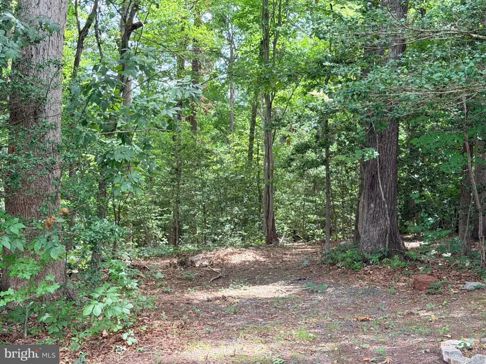278 RICHLAND ROAD Fredericksburg, VA 22406