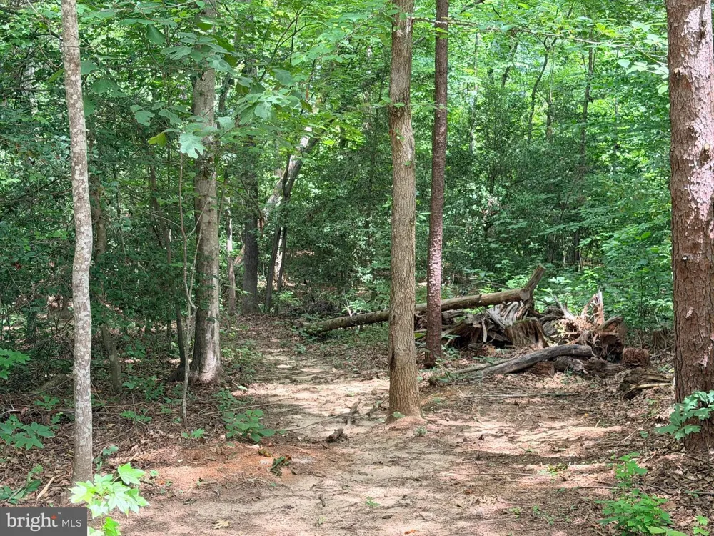 278 RICHLAND ROAD Fredericksburg, VA 22406