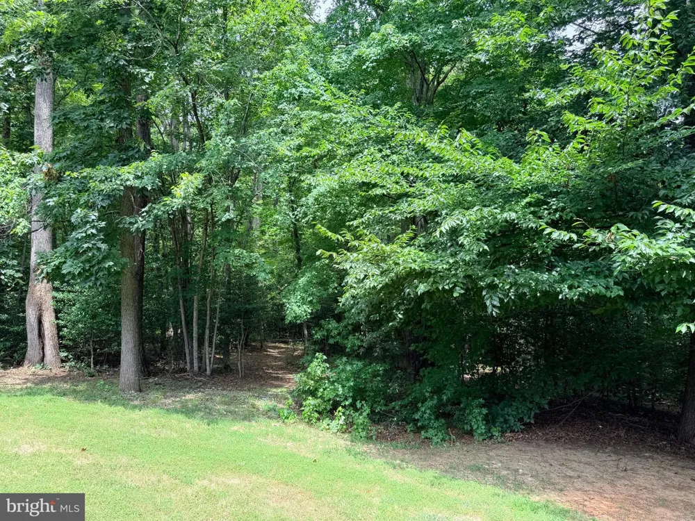 278 RICHLAND ROAD Fredericksburg, VA 22406