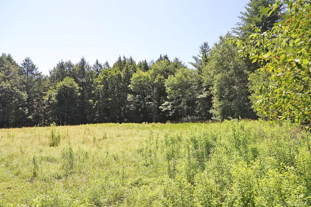 Lot 4A Hurd Road Bethel, NY 12720