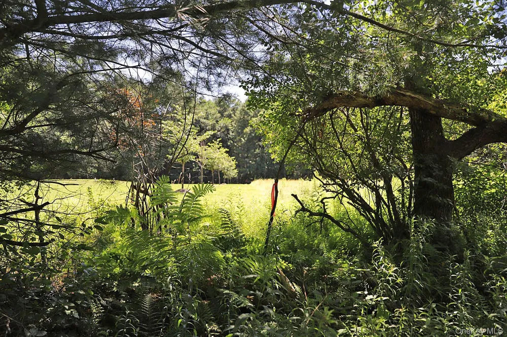 Lot 4A Hurd Road Bethel, NY 12720