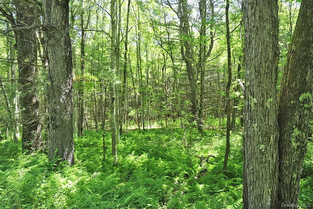 Lot 4A Hurd Road Bethel, NY 12720