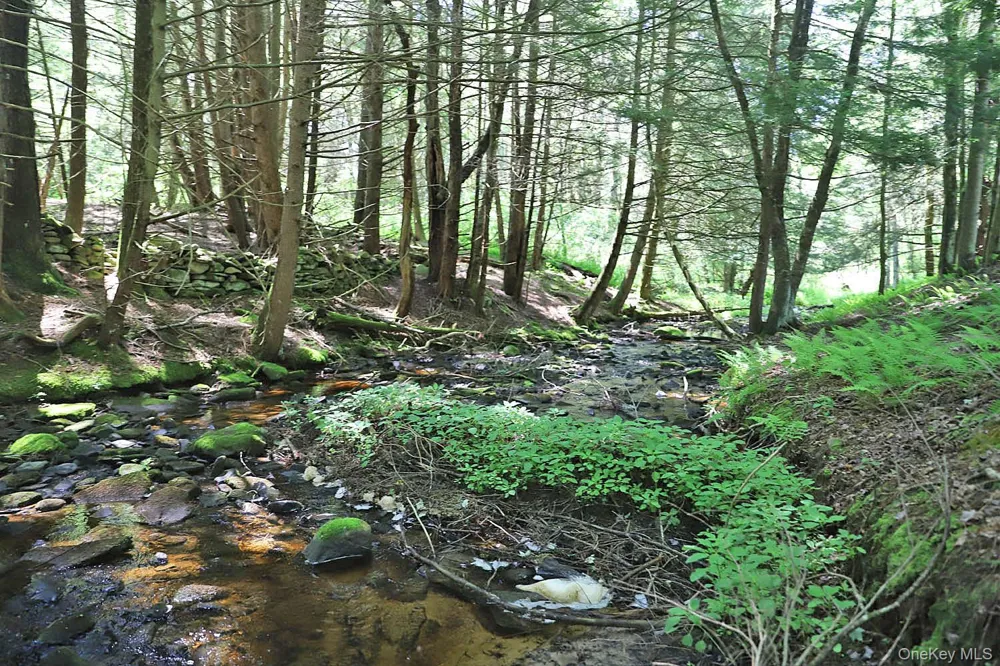 Lot 4A Hurd Road Bethel, NY 12720