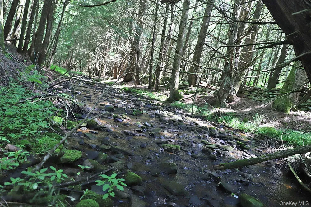 Lot 4A Hurd Road Bethel, NY 12720