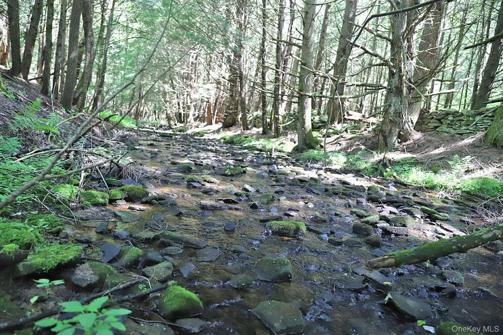 Lot 4A Hurd Road Bethel, NY 12720