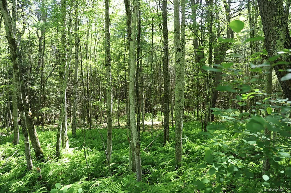 Lot 4A Hurd Road Bethel, NY 12720