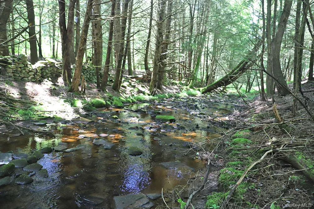Lot 4A Hurd Road Bethel, NY 12720