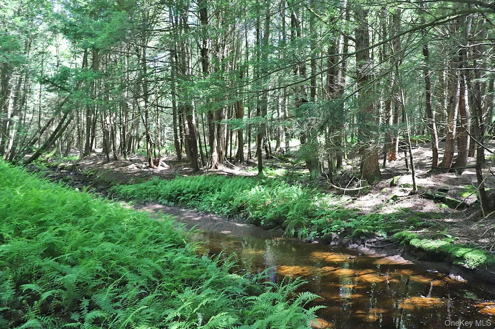 Lot 4A Hurd Road Bethel, NY 12720