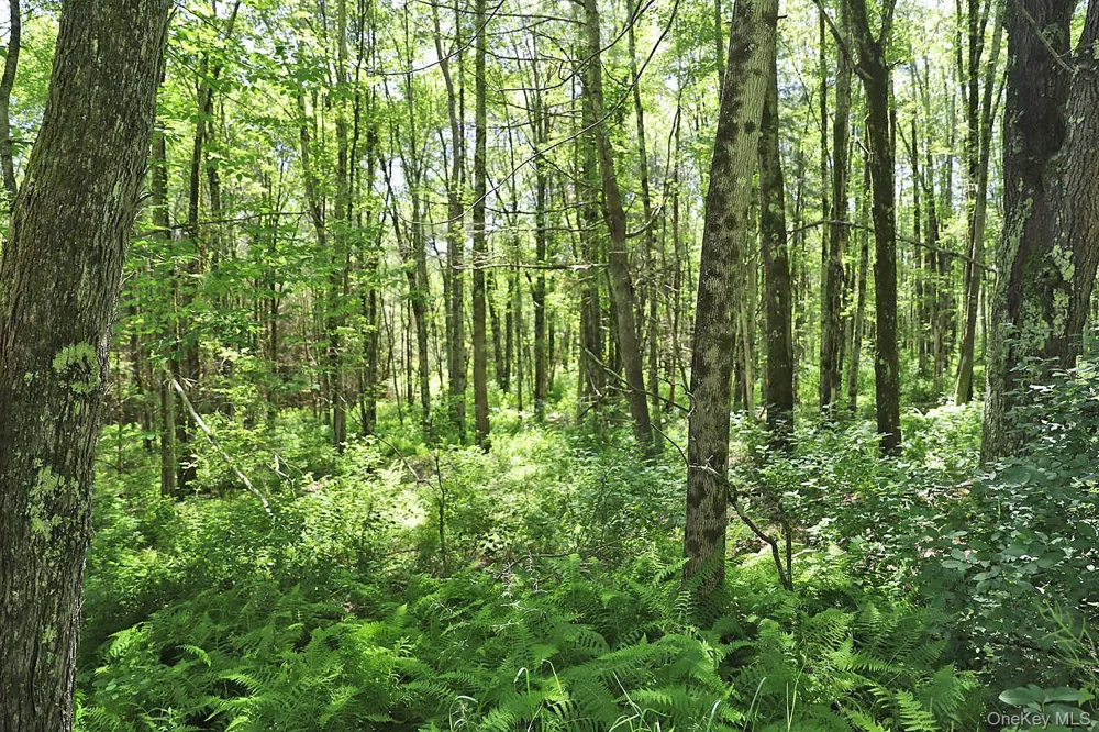 Lot 4A Hurd Road Bethel, NY 12720