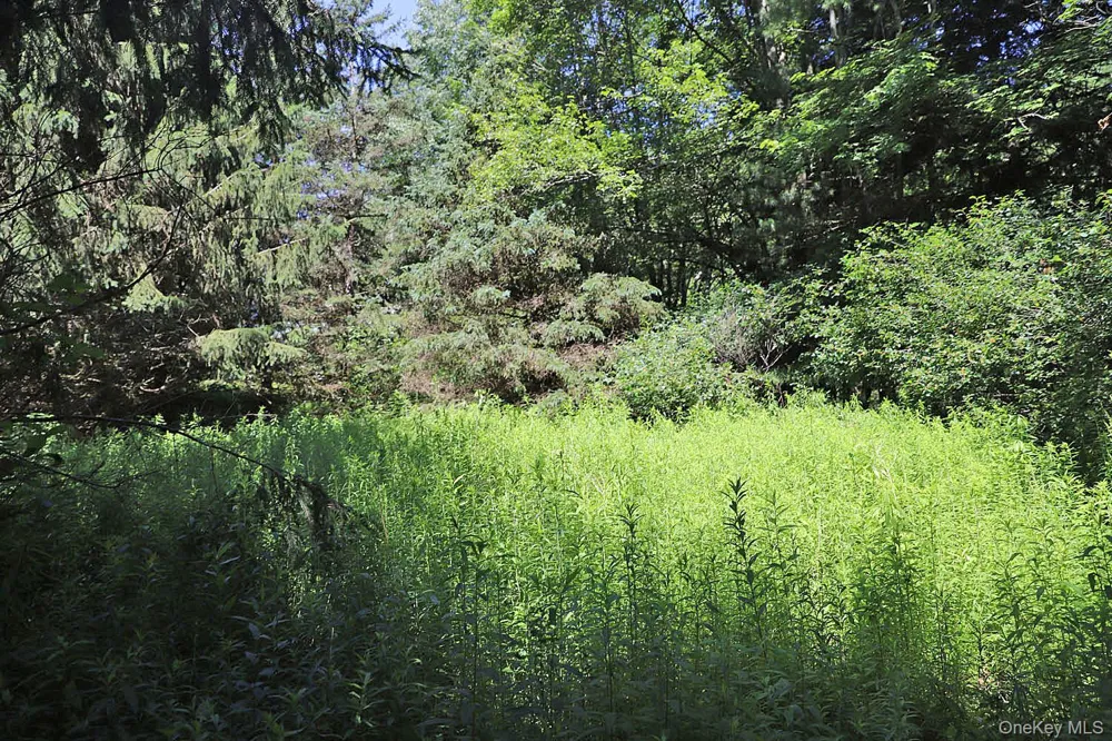 Lot 4A Hurd Road Bethel, NY 12720