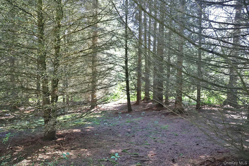 Lot 4A Hurd Road Bethel, NY 12720