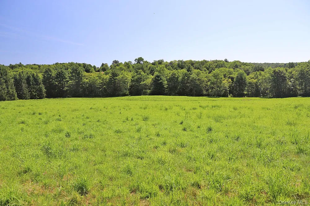 Lot 4B Hurd Road Bethel, NY 12720