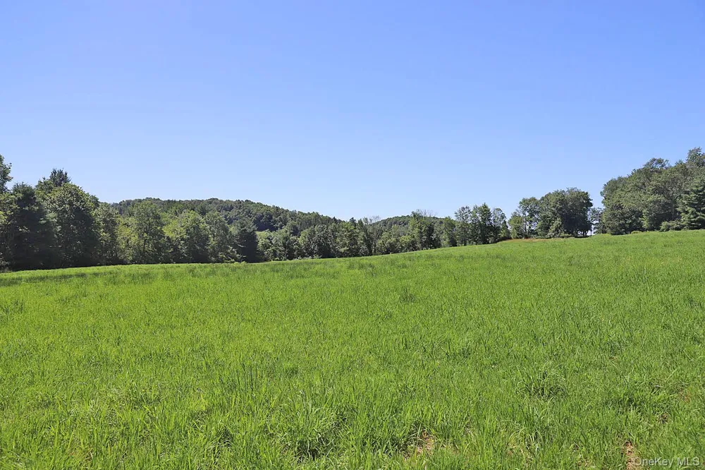 Lot 4B Hurd Road Bethel, NY 12720