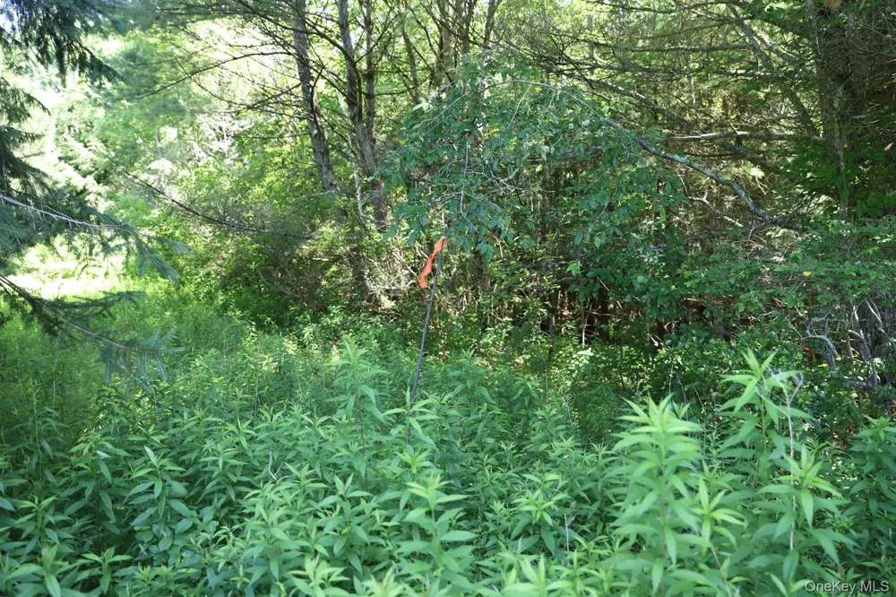 Lot 4B Hurd Road Bethel, NY 12720