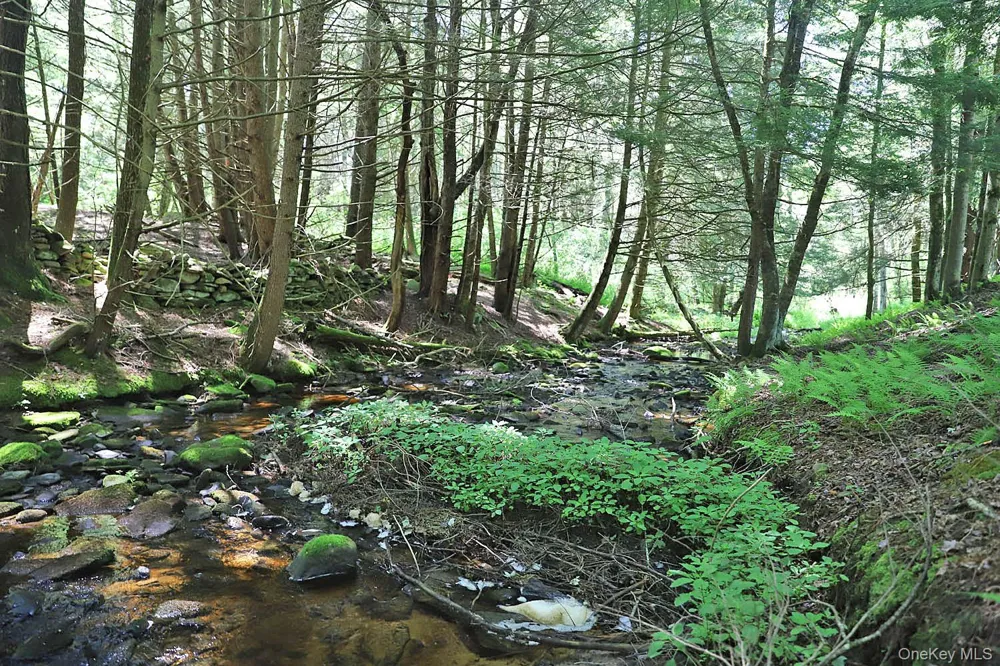 Lot 4B Hurd Road Bethel, NY 12720