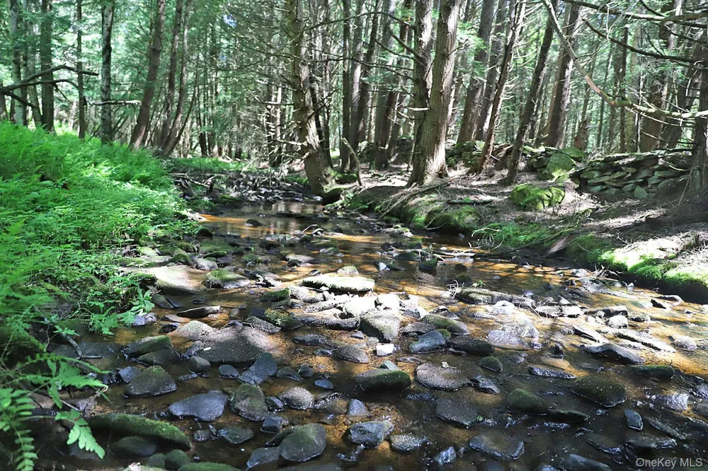 Lot 4B Hurd Road Bethel, NY 12720