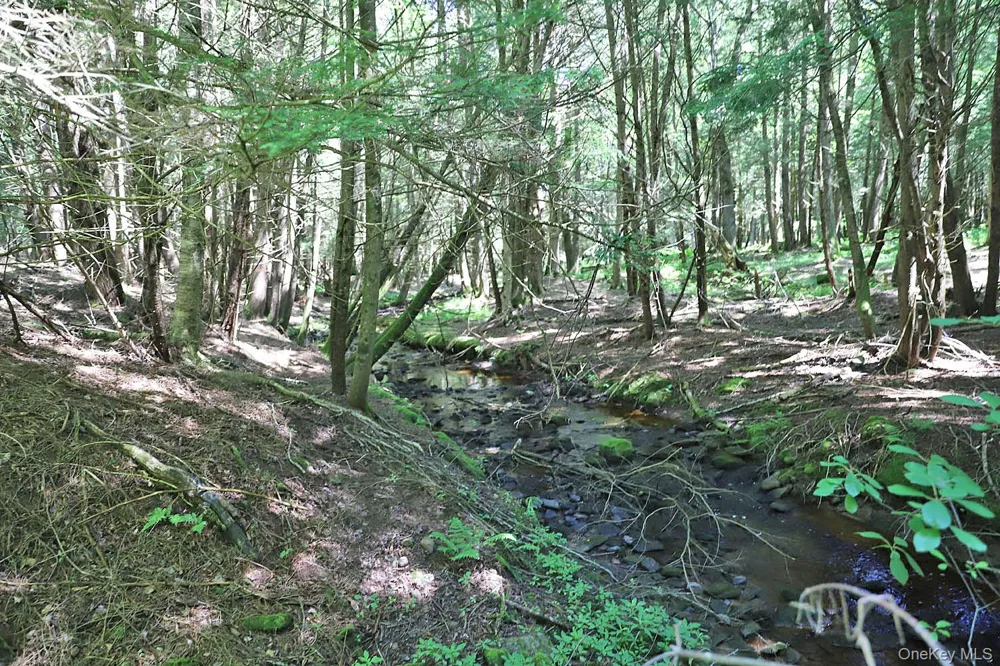 Lot 4B Hurd Road Bethel, NY 12720