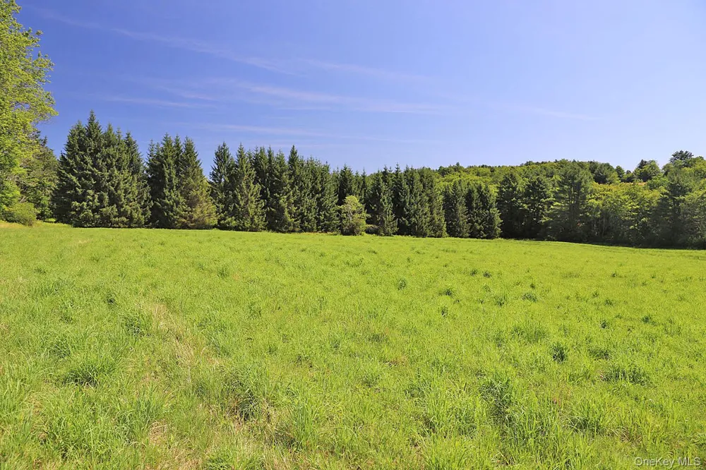 Lot 4B Hurd Road Bethel, NY 12720