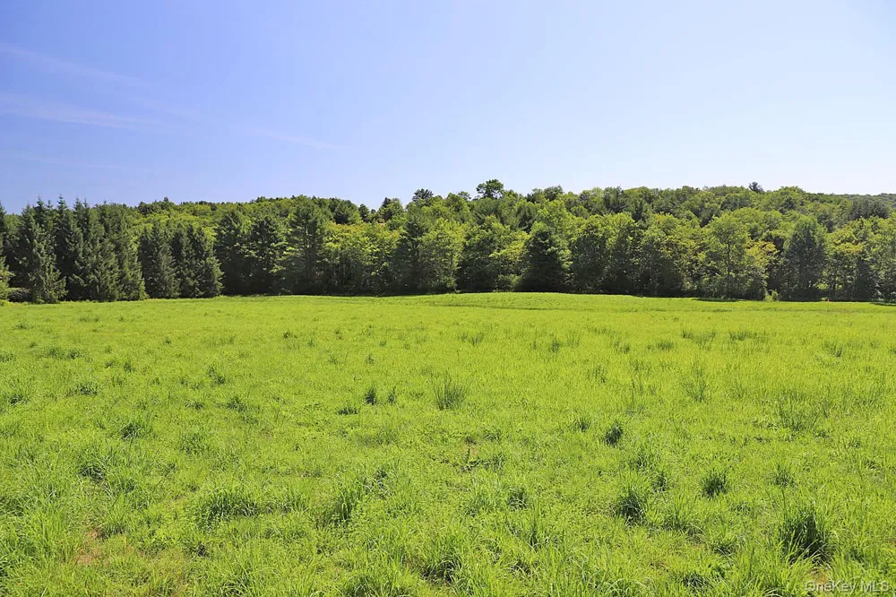 Lot 4B Hurd Road Bethel, NY 12720
