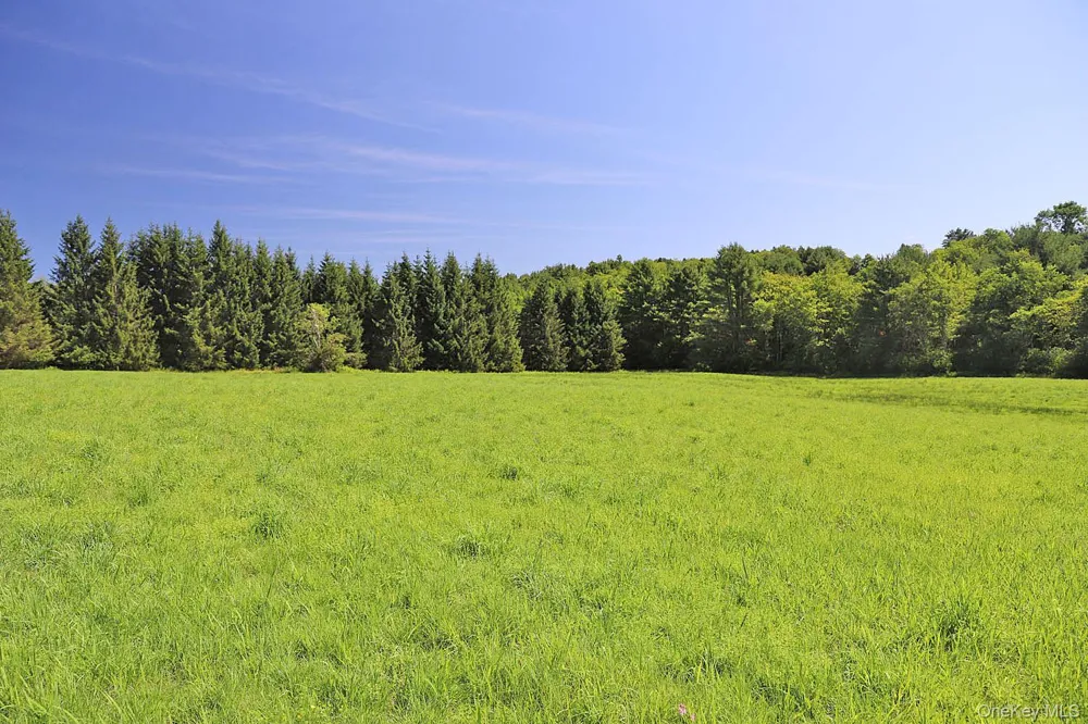 Lot 4B Hurd Road Bethel, NY 12720