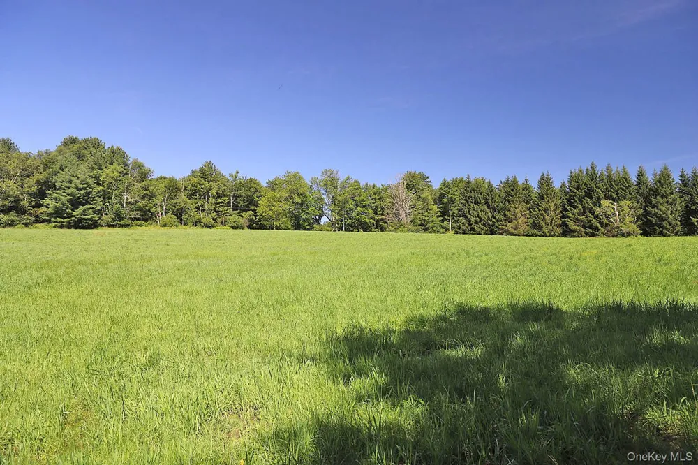 Lot 4B Hurd Road Bethel, NY 12720