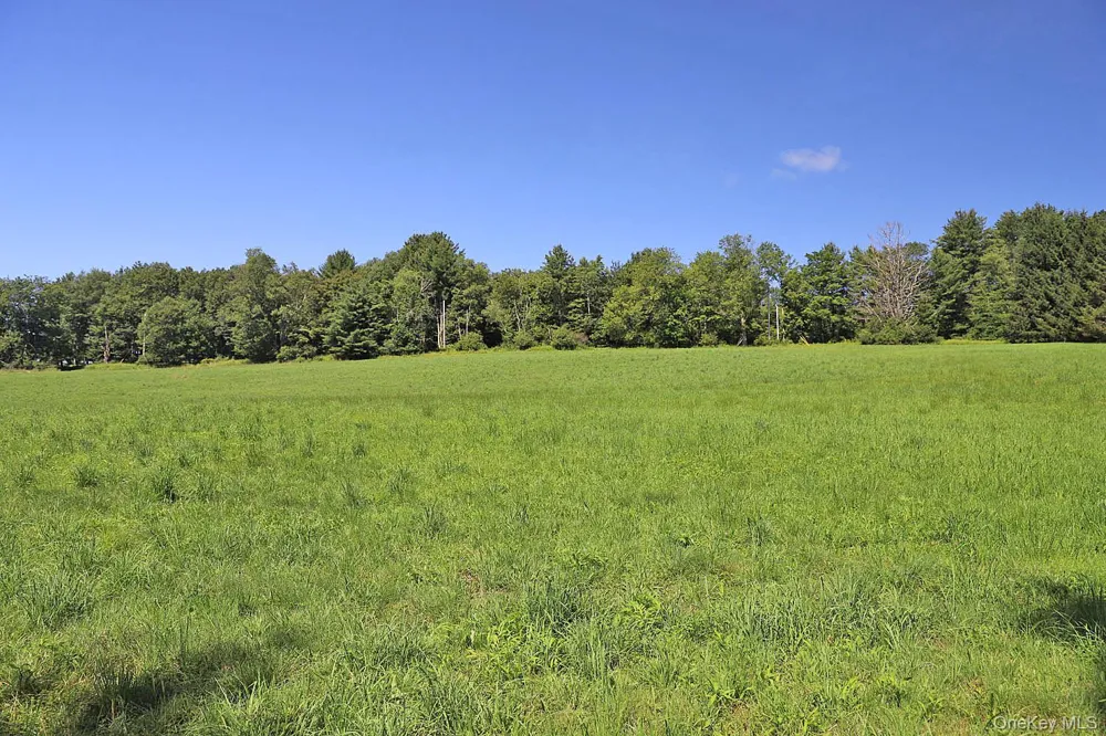 Lot 4B Hurd Road Bethel, NY 12720
