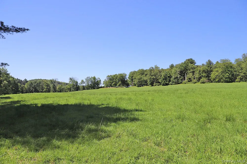 Lot 4B Hurd Road Bethel, NY 12720