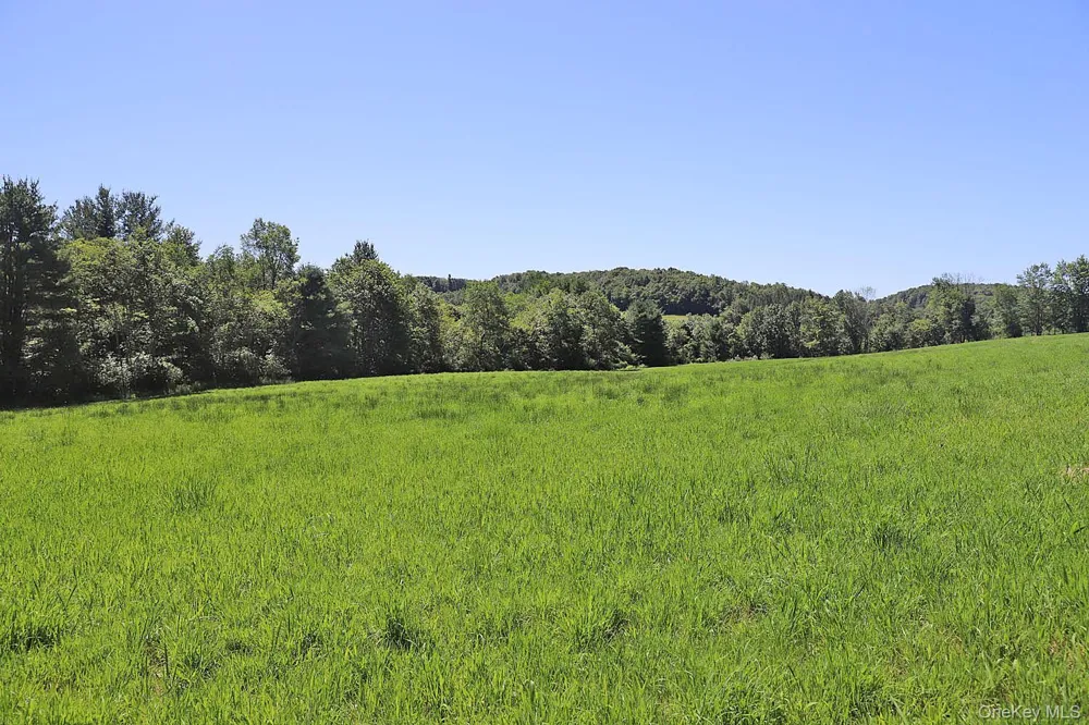 Lot 4B Hurd Road Bethel, NY 12720