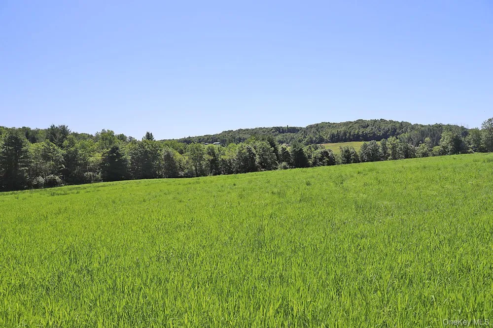 Lot 4B Hurd Road Bethel, NY 12720