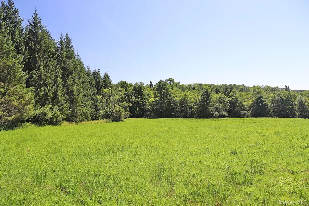Lot 4B Hurd Road Bethel, NY 12720