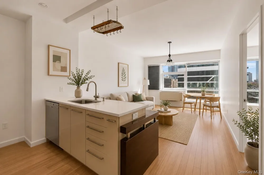 2415 Queens Plaza #6B Long Island City, NY 11101