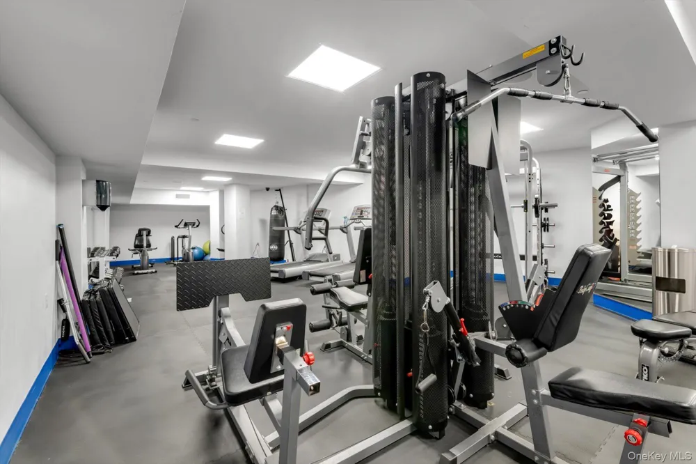 2415 Queens Plaza #6B Long Island City, NY 11101