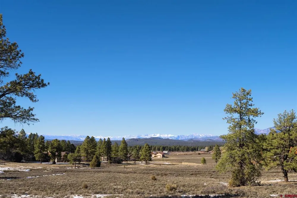 350 Bristlecone Drive Pagosa Springs, CO 81147