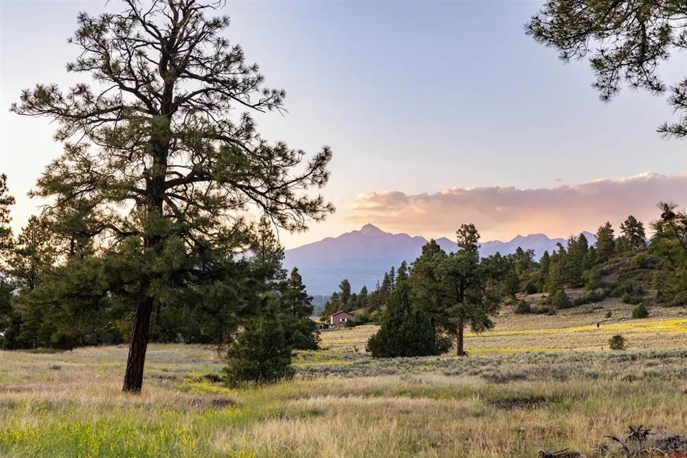 350 Bristlecone Drive Pagosa Springs, CO 81147
