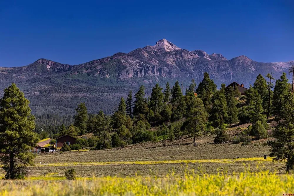 350 Bristlecone Drive Pagosa Springs, CO 81147