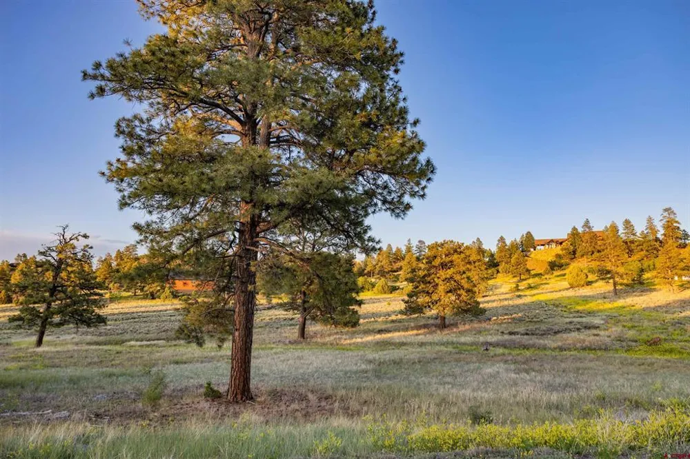 350 Bristlecone Drive Pagosa Springs, CO 81147
