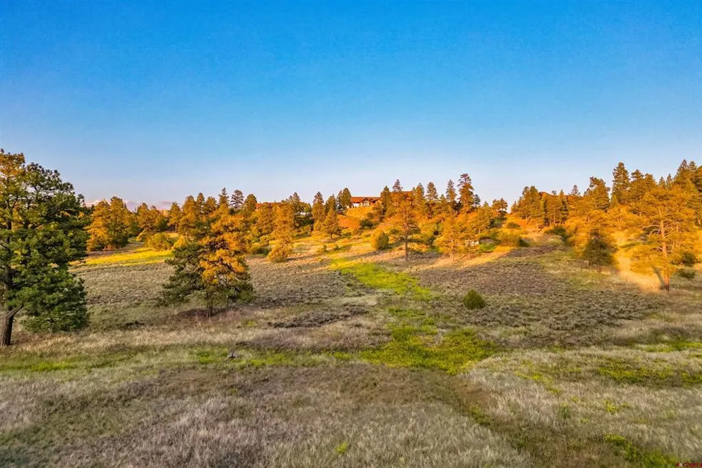 350 Bristlecone Drive Pagosa Springs, CO 81147